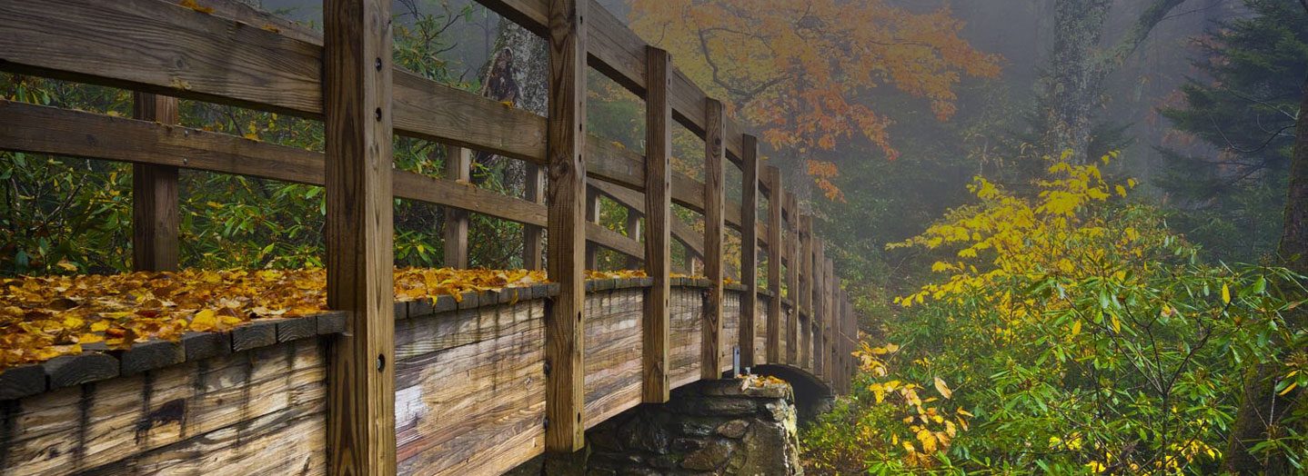local hiking trails