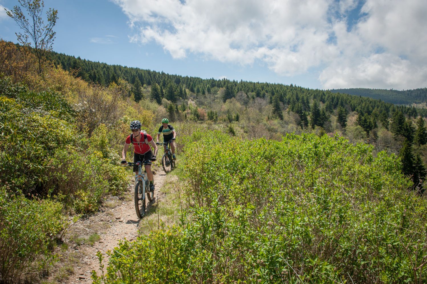 best mountain bike trails east coast