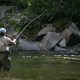 fly-fishing-wnc