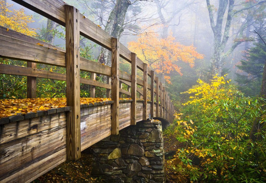 hiking bridge in Brevard