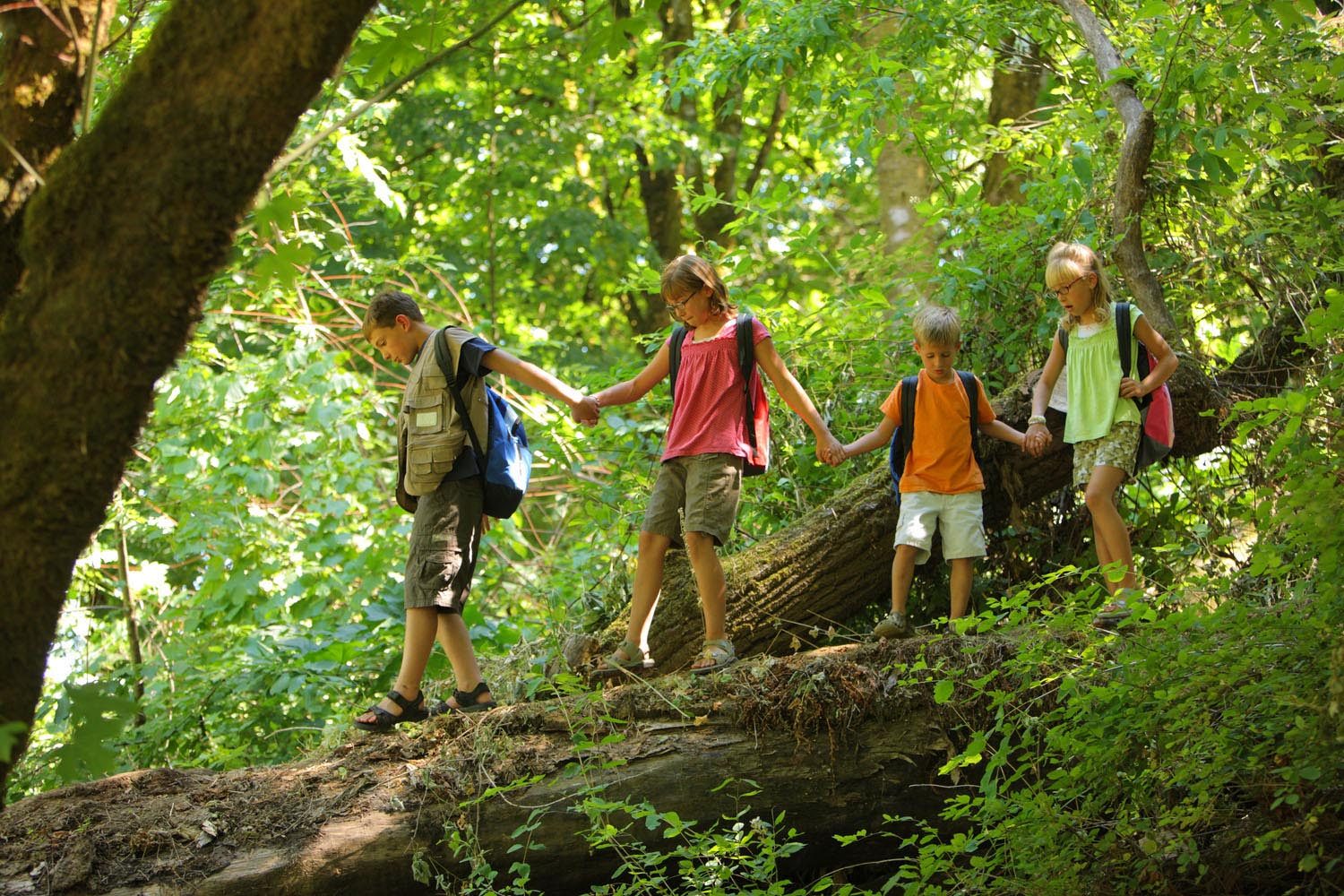 Western NC Summer Camp Guide! Pilot Cove Pisgah Forest, NC