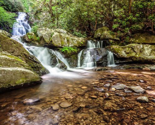 Pisgah National Forest