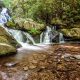 Pisgah National Forest