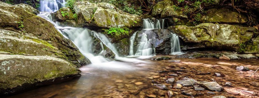 Pisgah National Forest