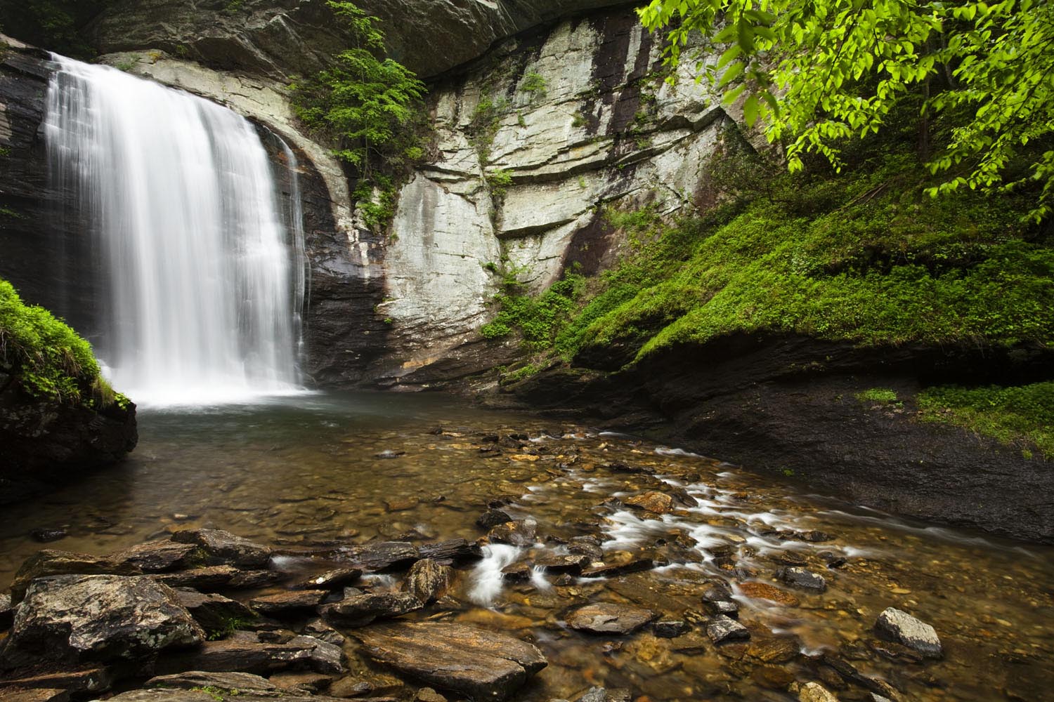 Top Waterfall Hikes Around Brevard NC | Pilot Cove | Pisgah Forest, NC