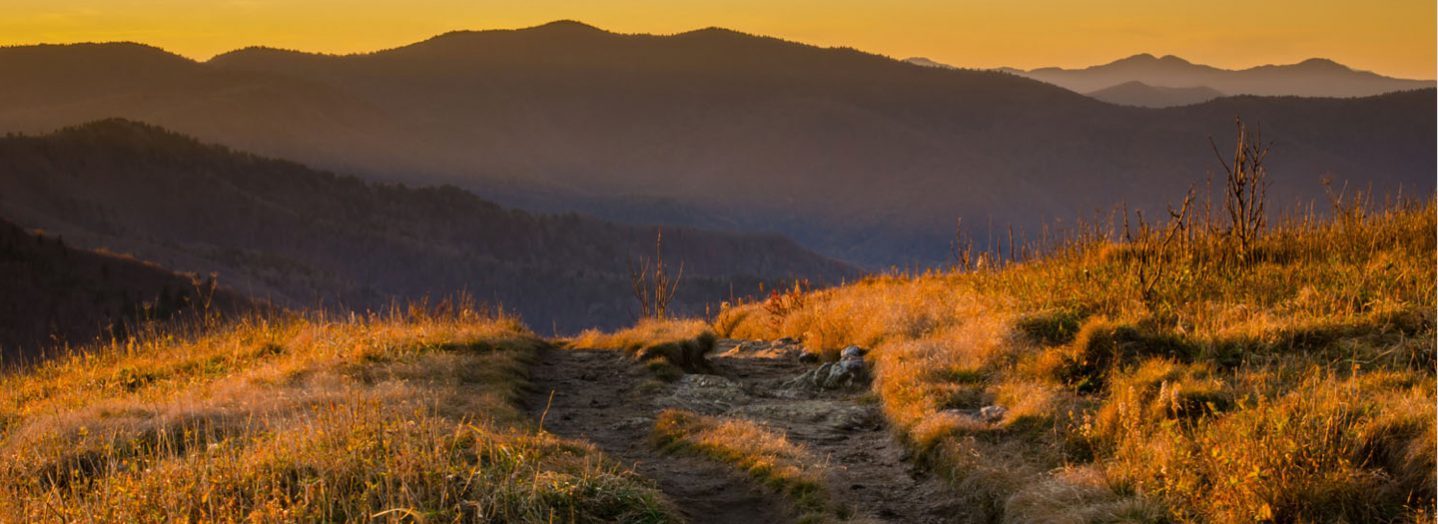 hiking banner art