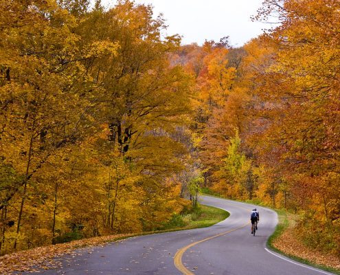 cycling in fall in Pisgah National Forest