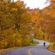 cycling in fall in Pisgah National Forest