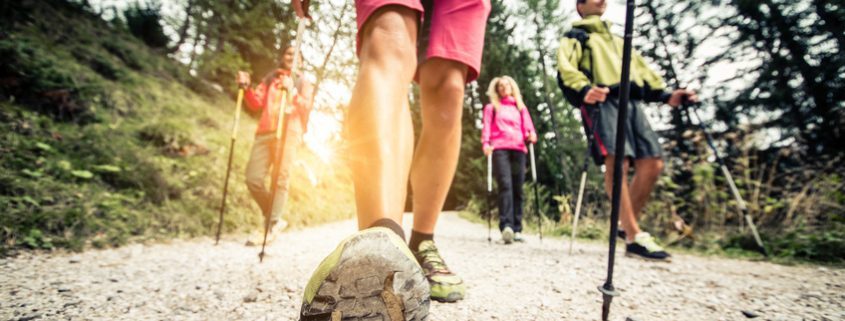 hiking trips near Brevard NC