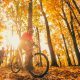 Fall Color | Brevard NC | Pisgah National Forest