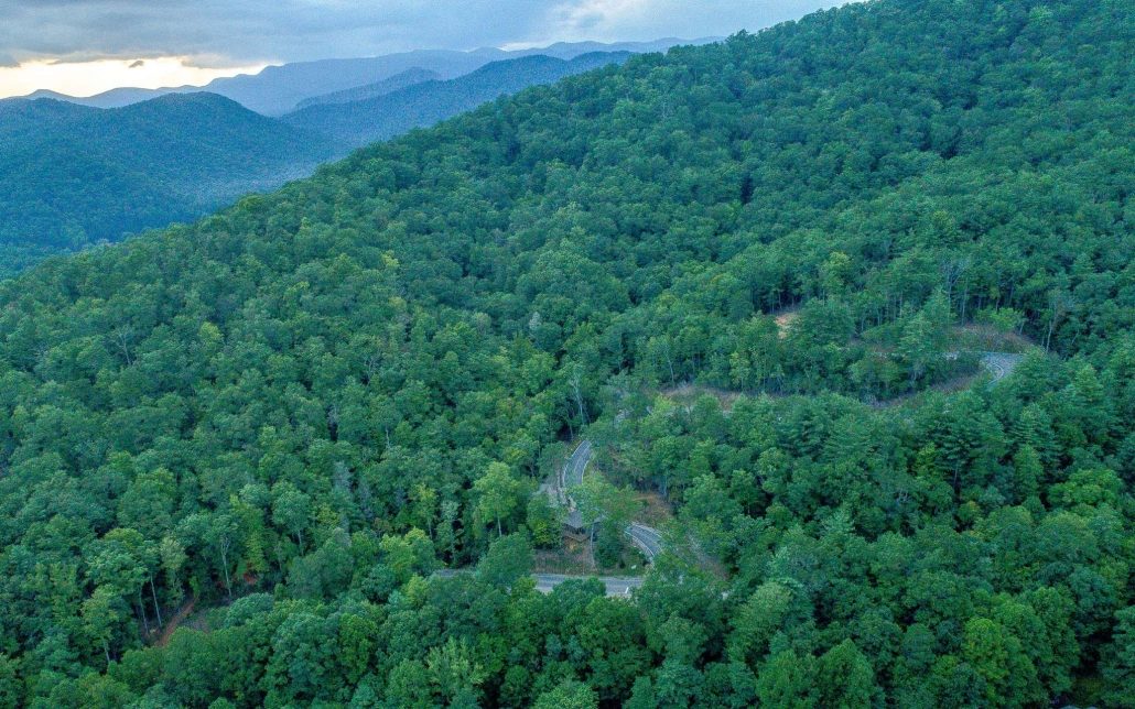 Pisgah National Forest