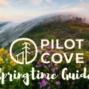 Spring Guide to Pisgah National Forest
