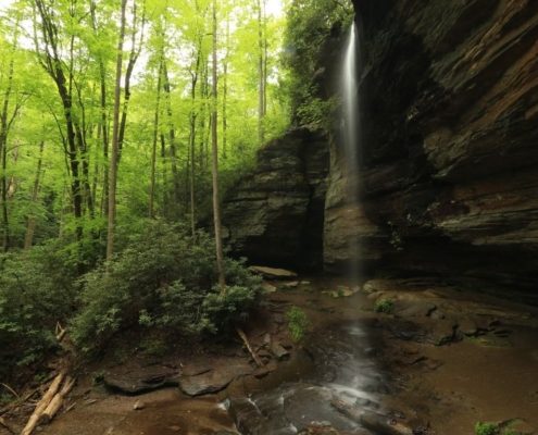 Moore Cove Falls