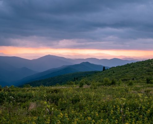 Black Balsam Knob Pisgah National Forest