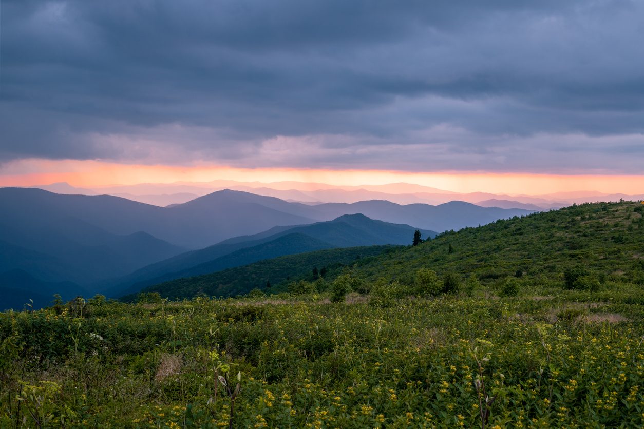 Black Balsam Knob Pisgah National Forest
