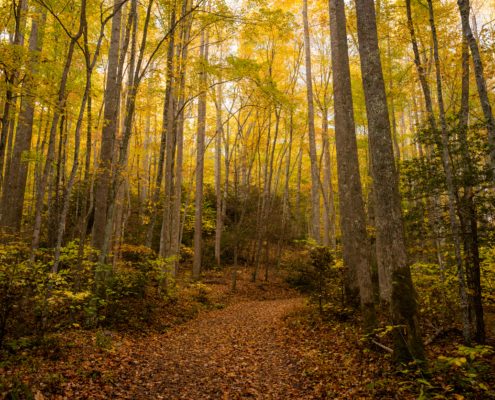 Mountain to Sea Trail North Carolina