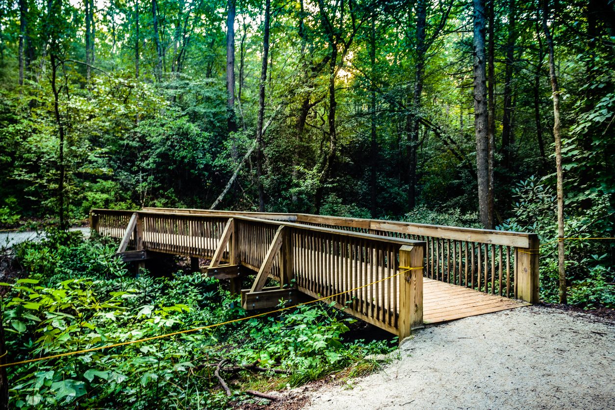 hiking and mountain biking in DuPont State Forest