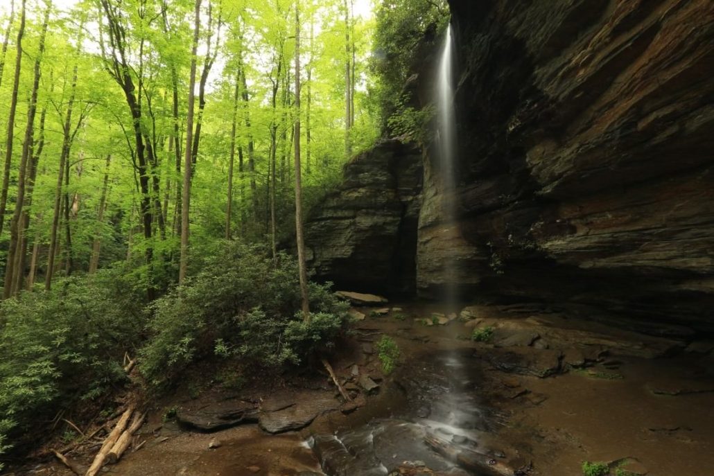 Moore Cove Falls