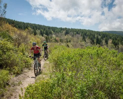 best mtb trails