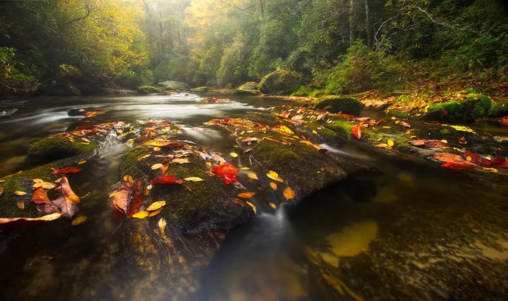 fall-leaves-waterfalls
