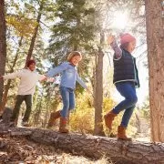 Children Having Fun And Balancing On Tree In Fall Woodland