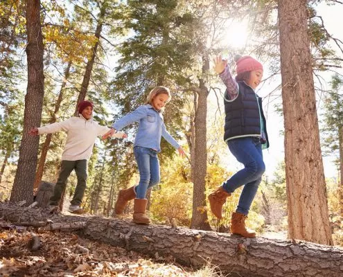 Children Having Fun And Balancing On Tree In Fall Woodland