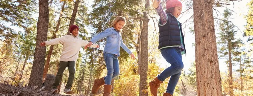 Children Having Fun And Balancing On Tree In Fall Woodland