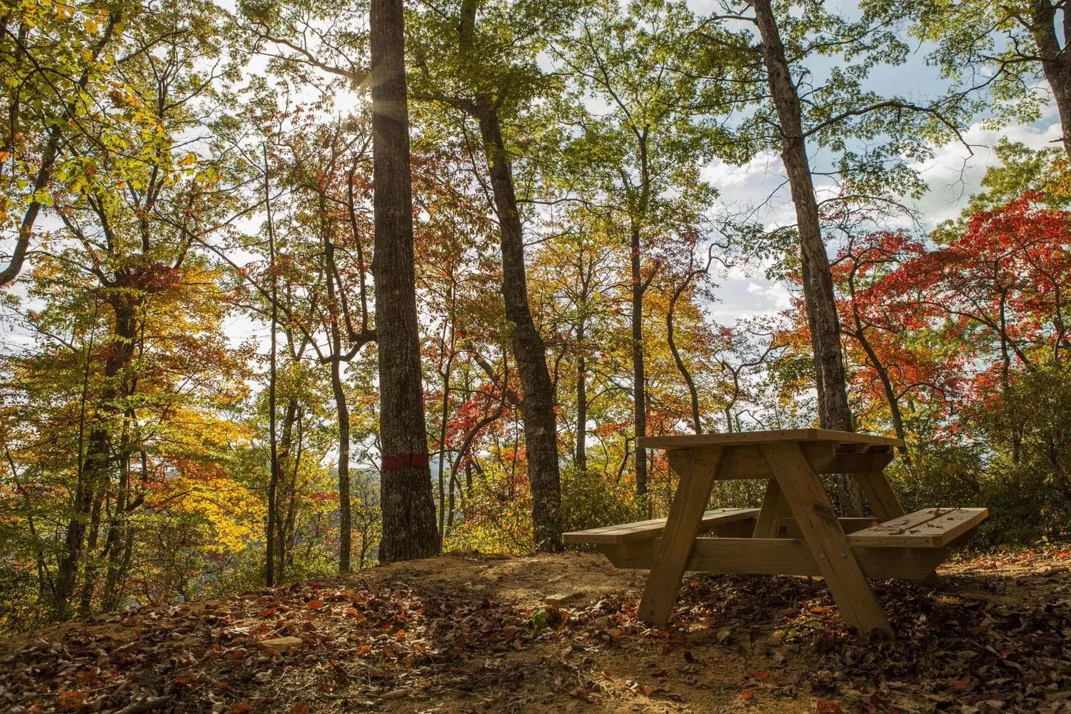 family-picnic-area