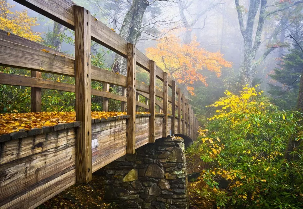 hiking bridge in Brevard