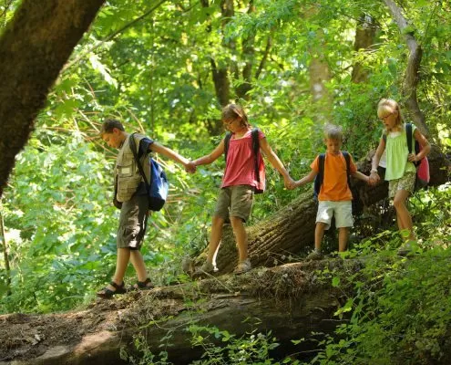 family fun hiking