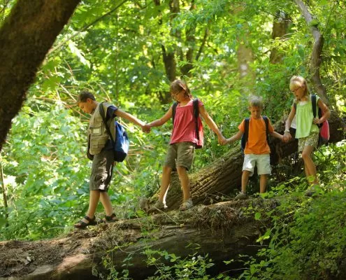 Group of kids in forest walking