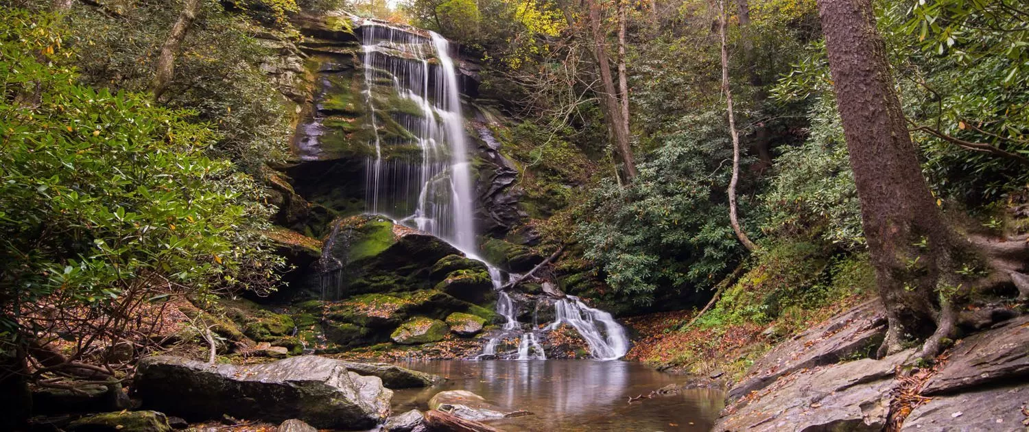 Paradise Falls, North Carolina - 319 Reviews, Map