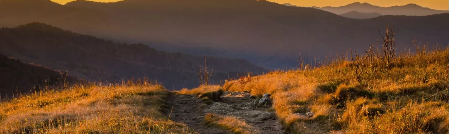 hiking banner art