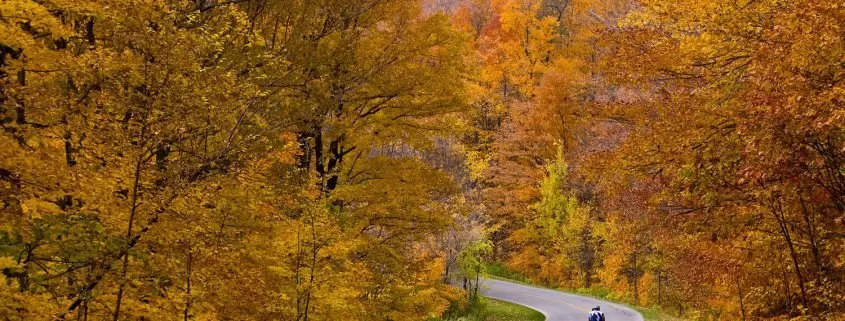 cycling in fall in Pisgah National Forest