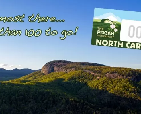 Looking Glass Rock in NC