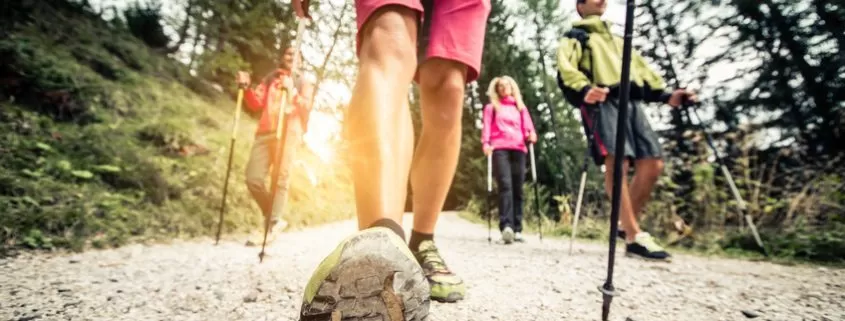 hiking trips near Brevard NC