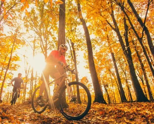 Fall Color | Brevard NC | Pisgah National Forest