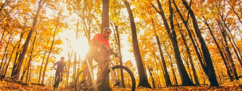 Fall Color | Brevard NC | Pisgah National Forest