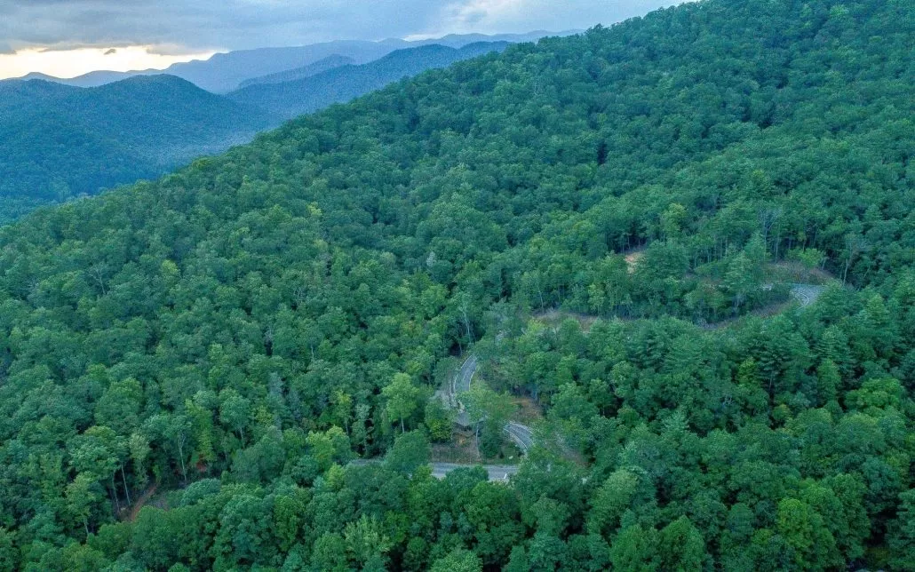 Pisgah National Forest