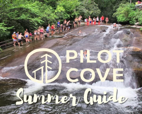 2021 Guide to Summer in Pisgah