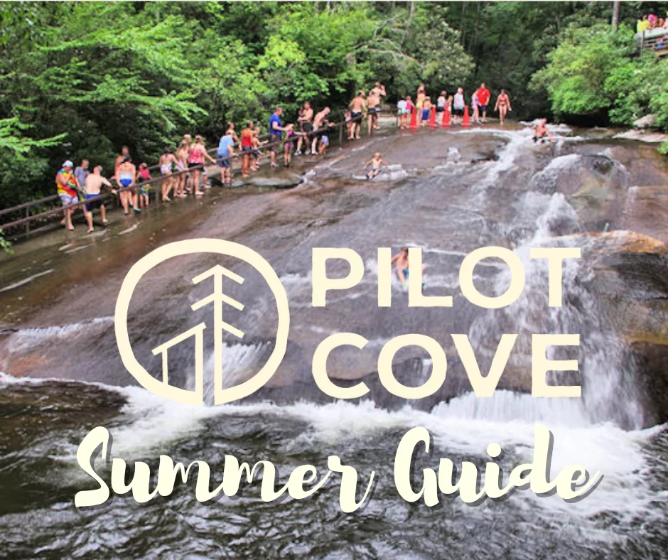 2021 Guide to Summer in Pisgah