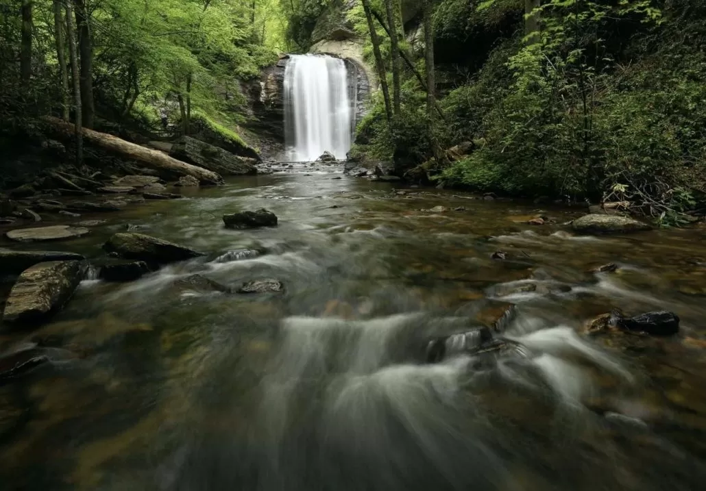 Looking Glass Falls