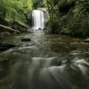 Looking Glass Falls