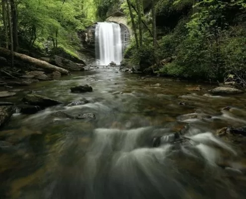 Looking Glass Falls