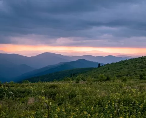 Black Balsam Knob Pisgah National Forest