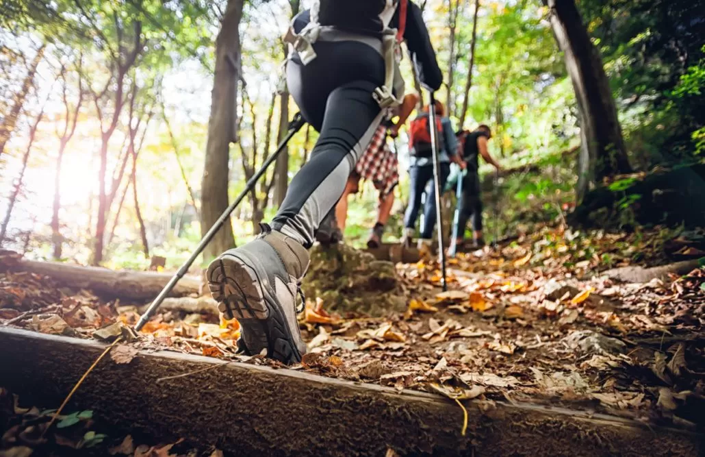 Hiking for Beginners