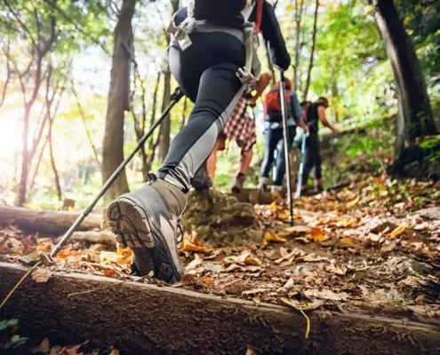 Hiking for Beginners