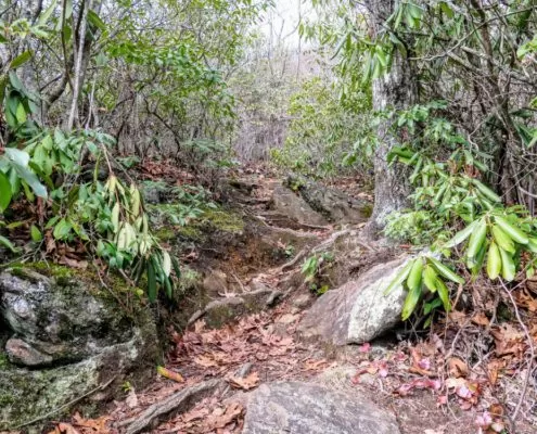Shining Creek Trail