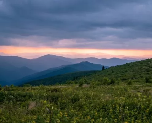 Black Balsam Knob