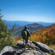 BlueRidgeParkwayFall
